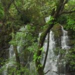 घोणसरी धबधबा