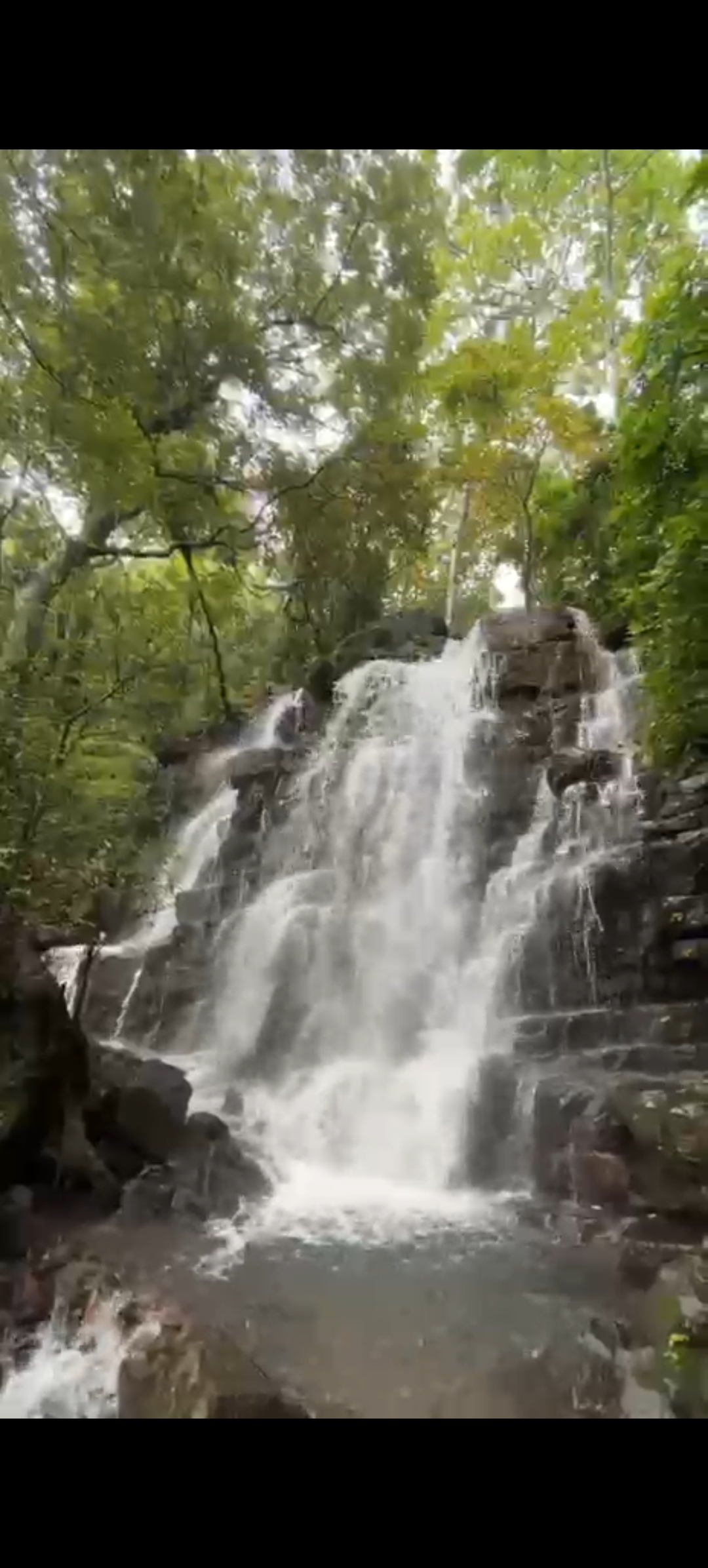 घोणसरी धबधबा